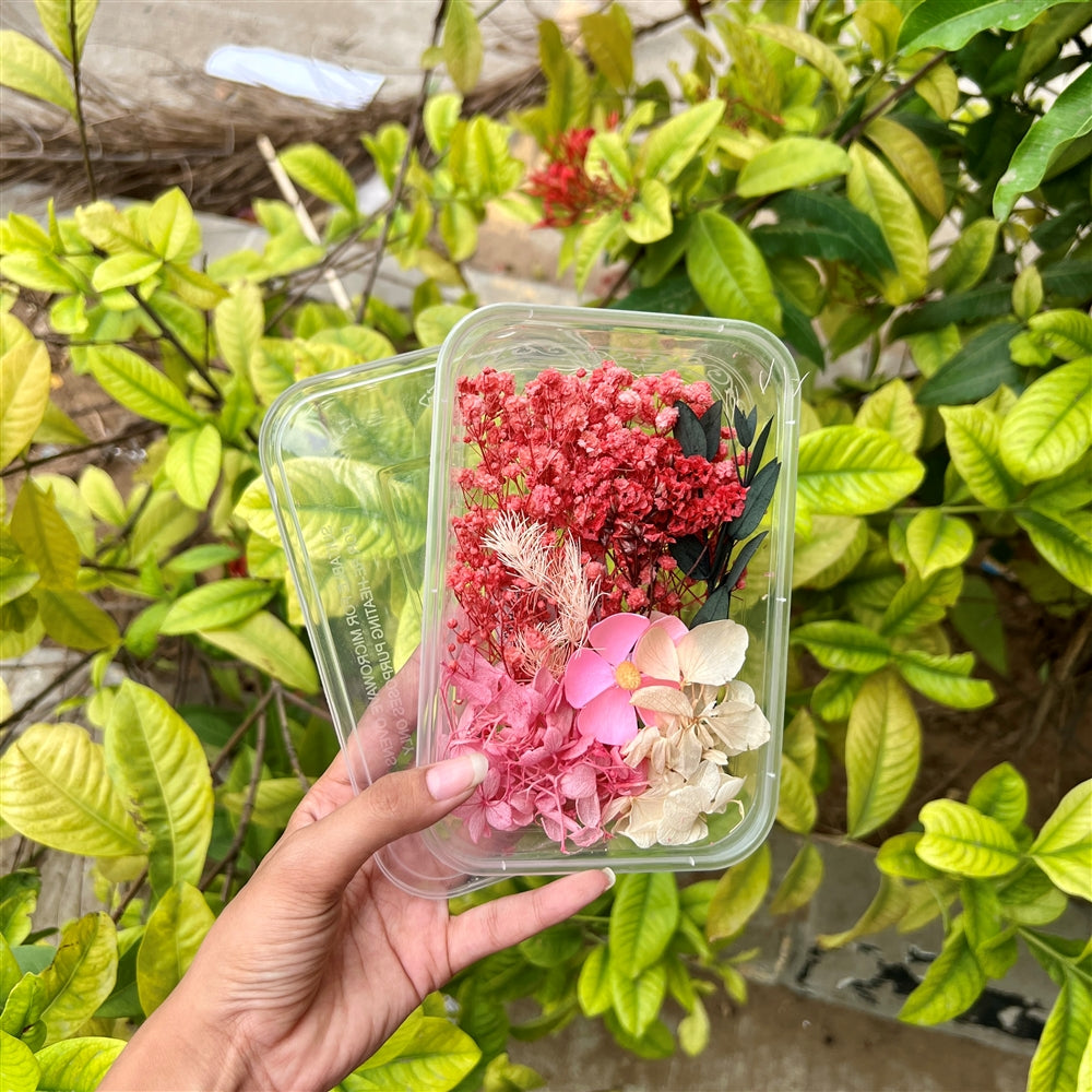 Cherry Blush β Dried Flower Box