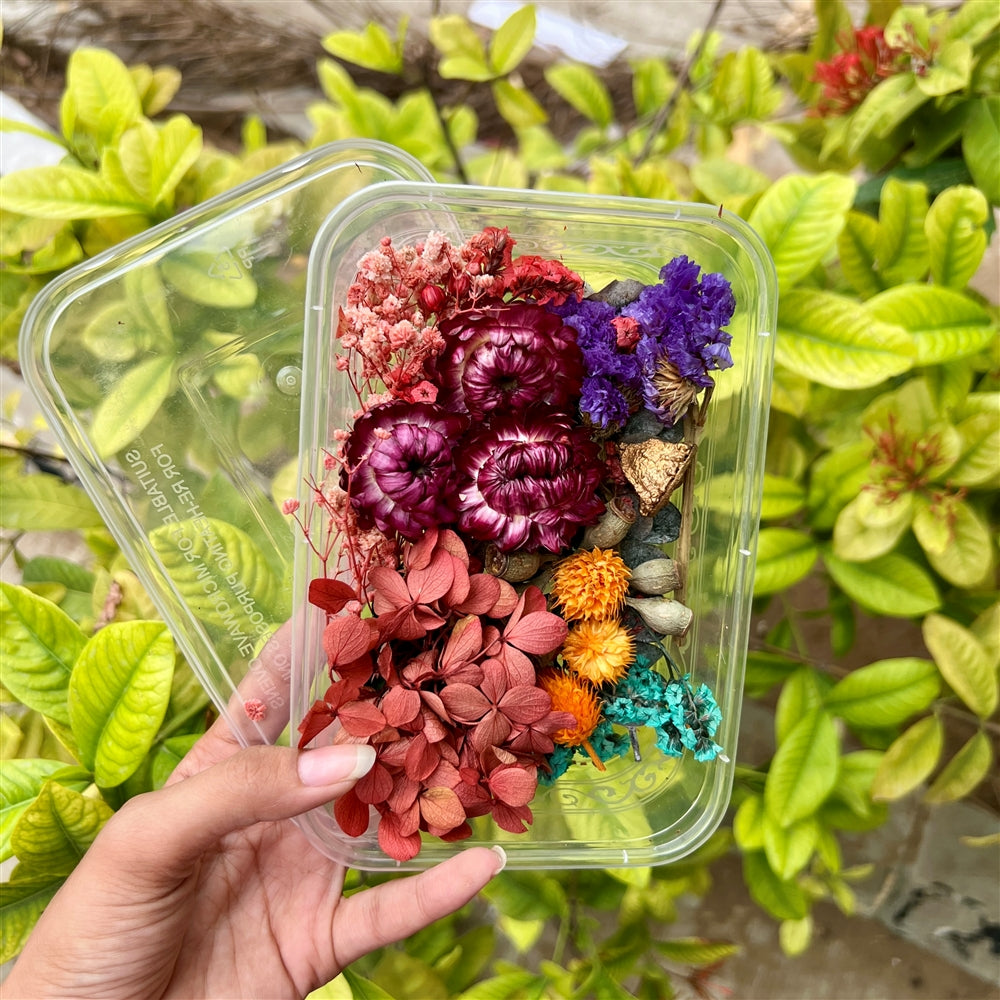 Royal Harvest β Dried Flower Box