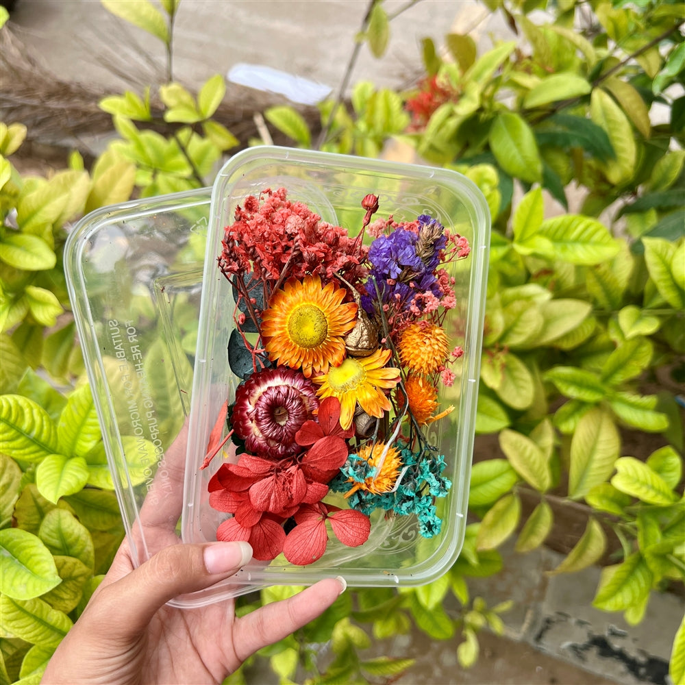 Sunburst Mix β Dried Flower Box