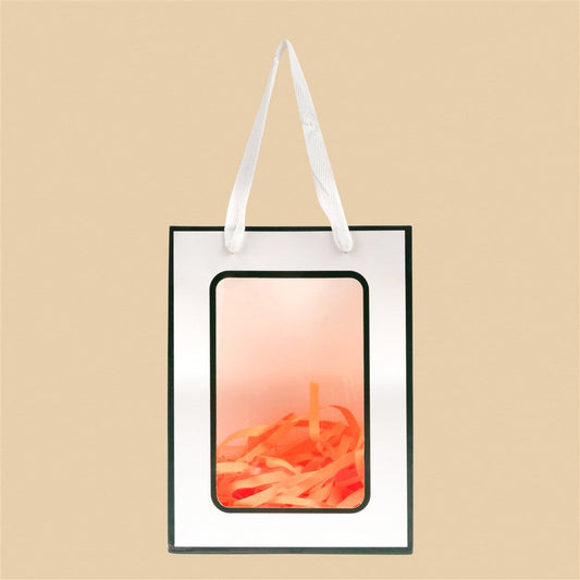 Premium Paper Bag - 10x7x5 Inch (Assorted Colors)