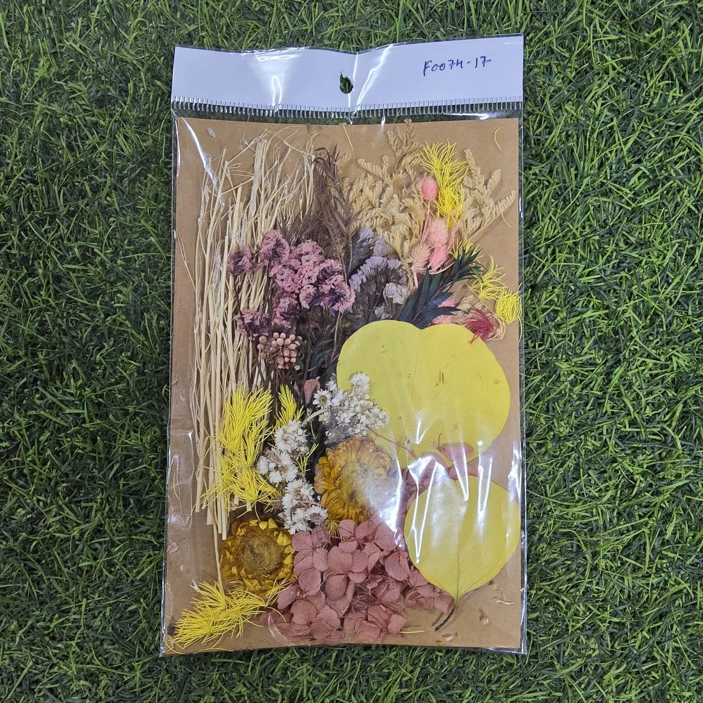 Lemon Peach Bloom Dried Flower Pack