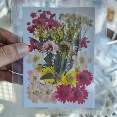 Summer Bouquet Mix Pressed Flowers