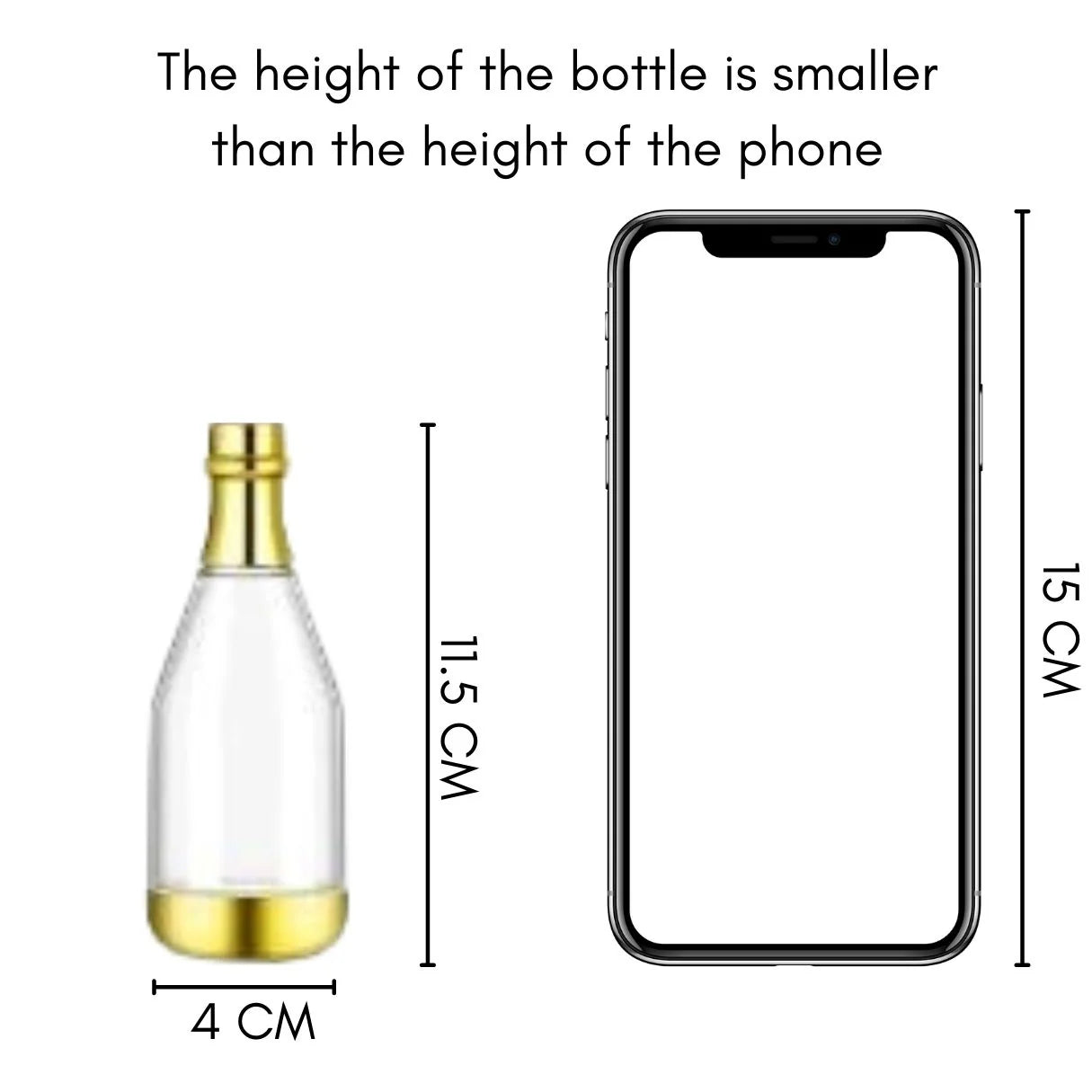 Silver Chandi Colour Champagne Design Plastic Storage Bottles (11.5 cm)